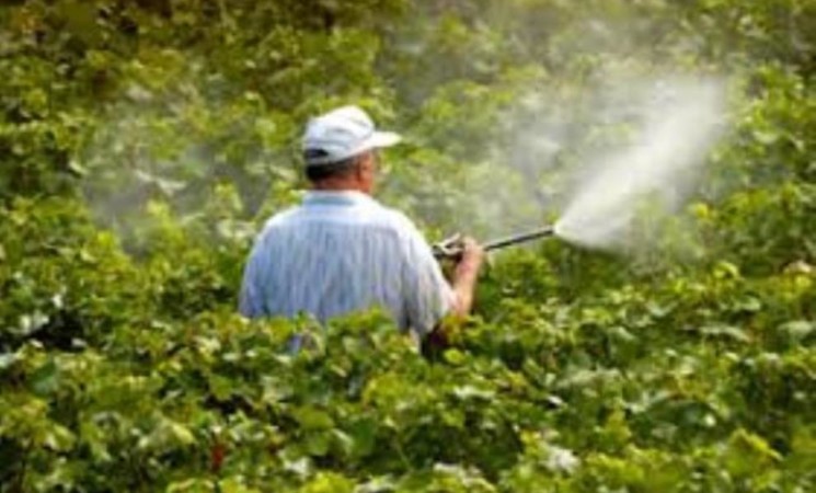 في ظل الاستعمال غير الرشيد للمبيدات الزراعية: توجس من التعدي على حق المستهلك في منتجات غذائية خالية من المضار الصحية